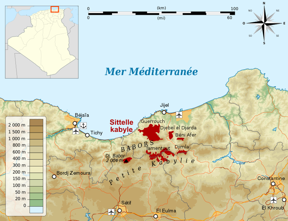 Carte de répartition de la Sittelle kabyle (Sitta ledanti) selon Karim Haddad & Larbi Afoutni (2019) (Wikipédia)